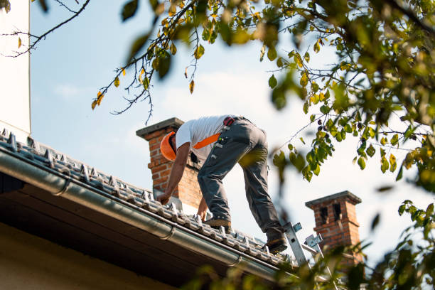 Best Storm Damage Roof Repair  in Bassett, VA