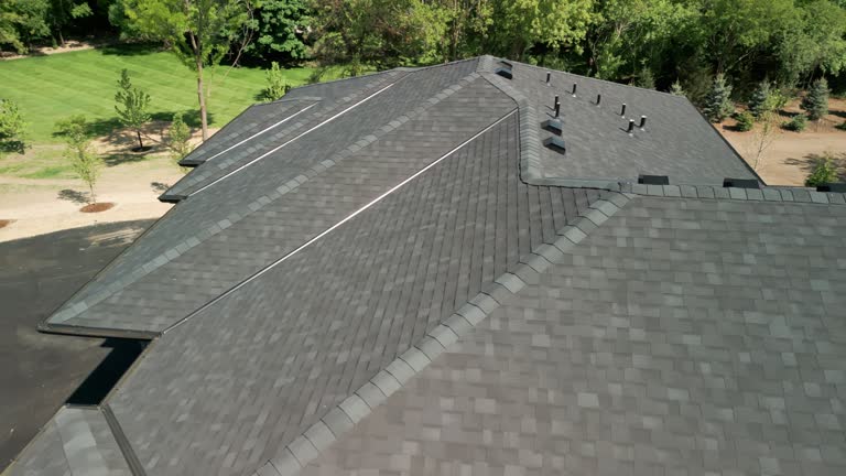 Best Sheet Metal Roofing  in Bassett, VA