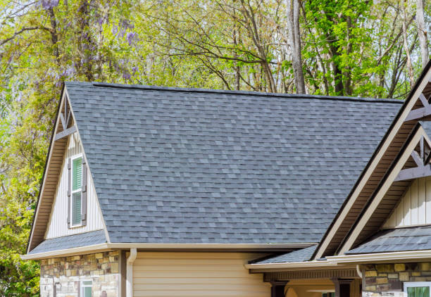 Best Roof Ventilation Installation  in Bassett, VA